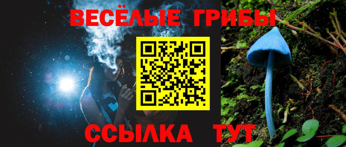 Псилоцибиновые грибы Psilocybine cubensis Свободный