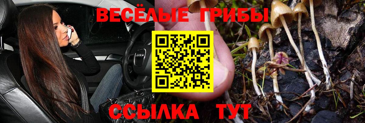 Галлюциногенные грибы мухоморы  Галлюциногенные грибы Psilocybe  Свободный  купить   Вход с VPN 
